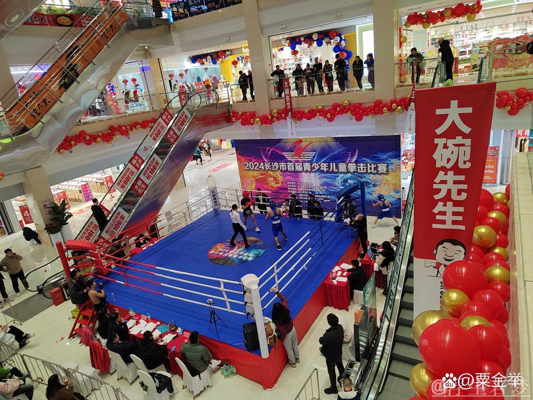 湖南拳击竞技盛典揭幕